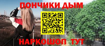 дмт Гай
