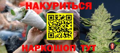 дмт Гай