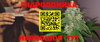 бошки Гатчина