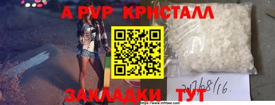 бошки Гатчина
