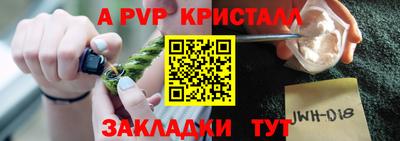 дмт Гай